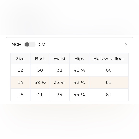Cinnamon Rose Evening Gown Zise 14 - Picture 2 of 3